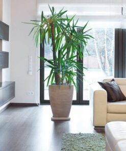 Camera Imou Rangeriq 7