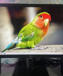 Bộ máy tính dell optiplex 3050 sff, màn hình aoc 22inh full hd 9 Bo May Tinh Dong Bo Dell Man Hinh 22 Inh Full Hd 4