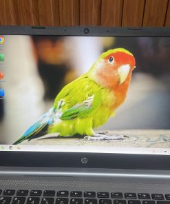 Hp 14 Dq1Xxx I3 1005G1 Ram8G 128Ssd M2 Nvme 14 Fullhd 3