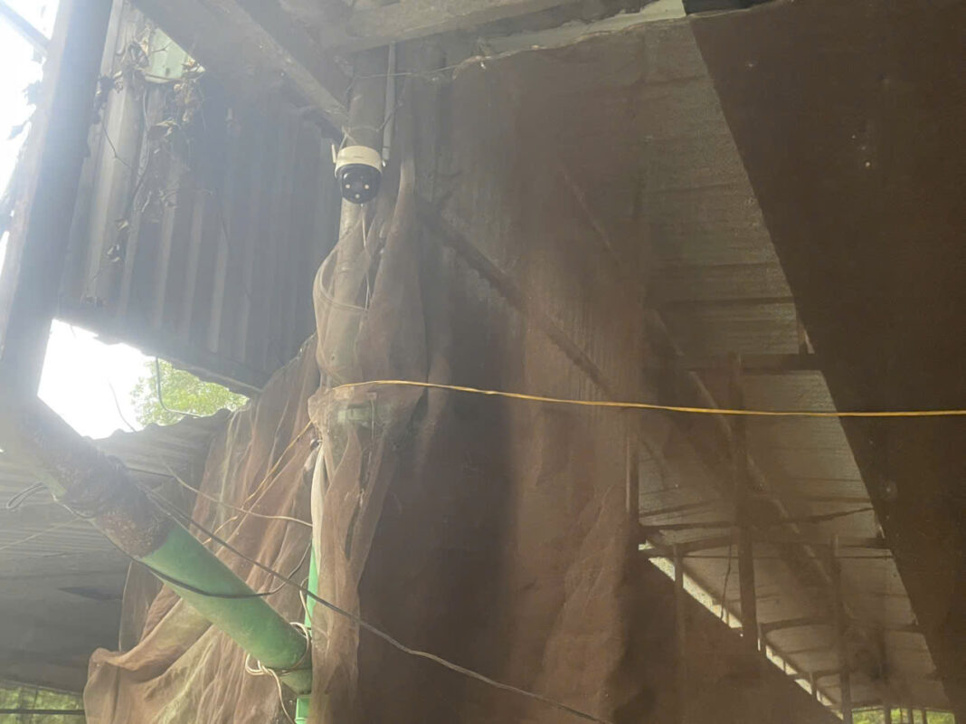 Khang Vinh Hoàn Thành Lắp Đặt Camera Cho Trại Heo Anh Tú Tại Phú Giáo 3 Khang Vinh Hoàn Thành Lắp Đặt Camera Cho Trại Heo Anh Tú Tại Phú Giáo