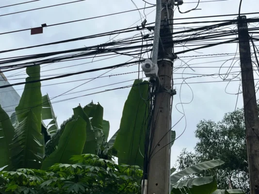 Z6713380465134 A49B1B938Ddbfbeed21E69Dcc8D457Fe 1067X800 1