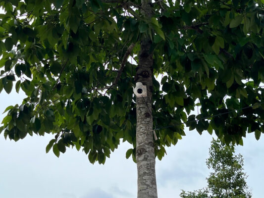 Z6714636202241 Ecb28C992Ac5C88Eeee3A9Bbe6167Bcb