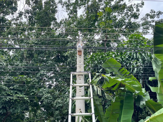 Z6756583146724 041F6A9Ef590D5A25D547C25Ab113Be3