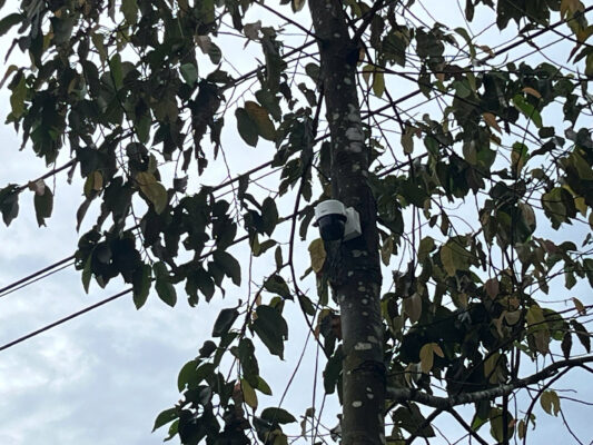 Z6913256644588 B178F71Ef1A6De4A101324726Bdfb74D