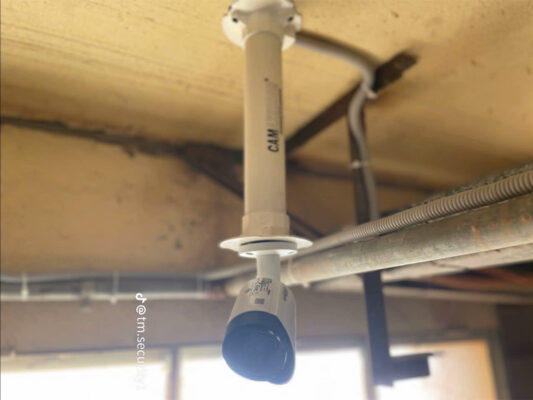 Meo Phong Ngua Hu Hong Camera Trong Mua Mua Tai Di An